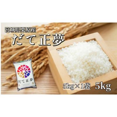 ふるさと納税 栗原市 【令和7年産】宮城栗原産 だて正夢 白米5kg (5kg×1袋)