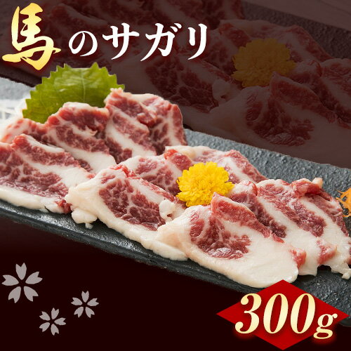 【ふるさと納税】 馬のサガリ 300g 産山村（桜屋）《30日以内に出荷予定(土日祝除く)》 馬刺し 馬肉 熊本県 荒尾市 肉 サガリ