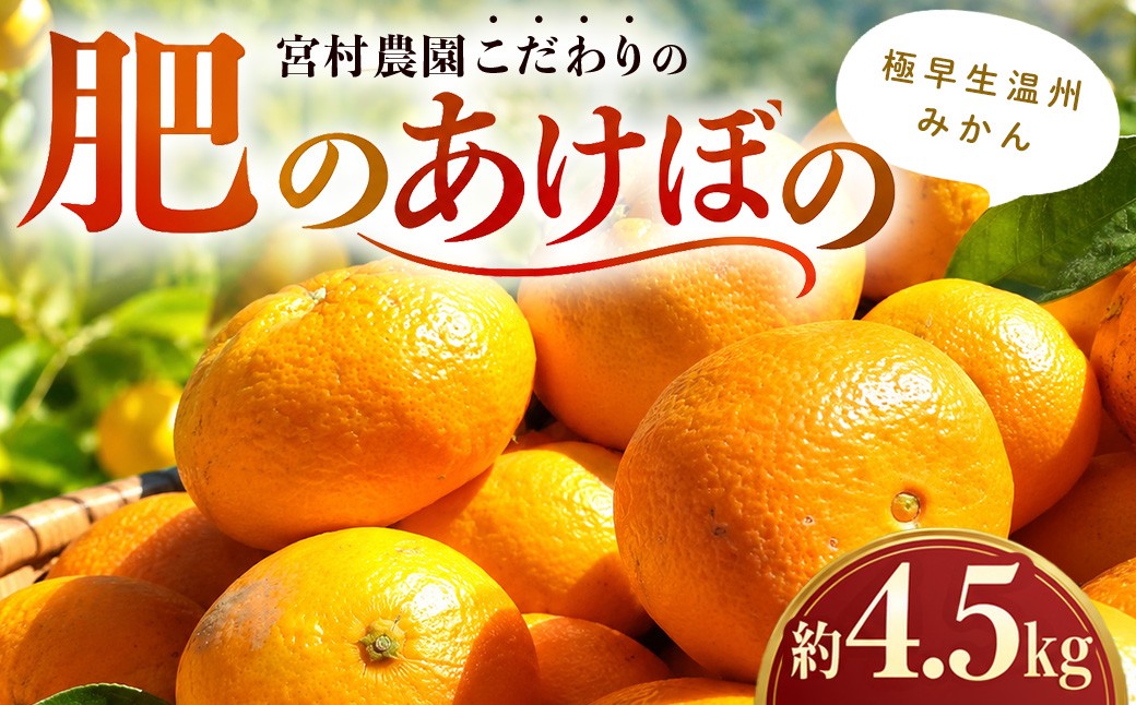 
                  宮村農園のこだわりみかん（肥のあけぼの・Ｓ，Ｍ．Ｌ，２Ｌサイズ混合）約4.5kg
                