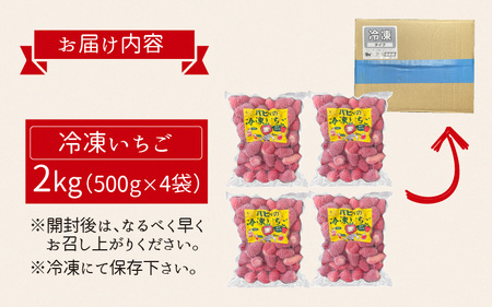 いちご農園のブランド苺【リッチゴ】(冷凍いちご×2kg)