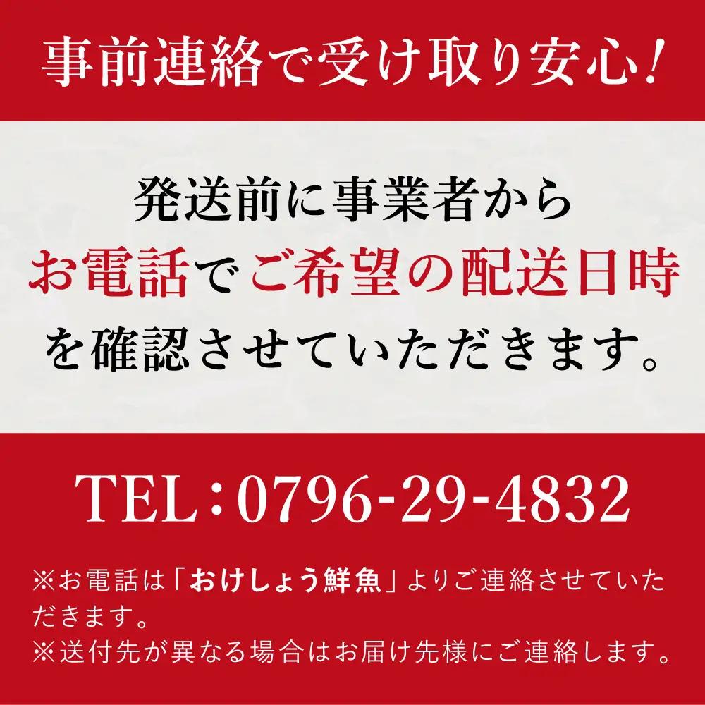 おけしょう鮮魚 お刺身セット 約2人前 冷蔵 配送日時を電話確認