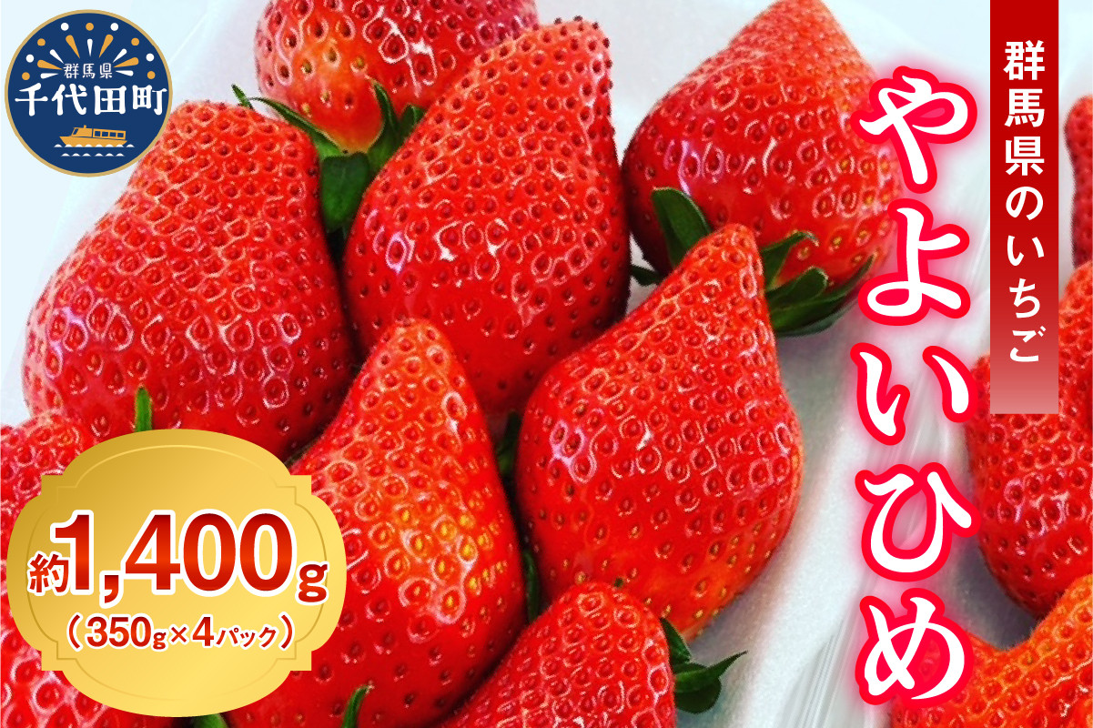 
《先行予約》※選べる配送時期※ いちご「 やよいひめ 」約350g×4パック 群馬県 千代田町 大粒 完熟収穫 大容量 とれたて 新鮮 送料 無料 数量 限定 甘い 豊かな 香り 贅沢 ご褒美 イチゴ ストロベリー 贈答 贈り物 ギフト プレゼント 家族 で 楽しむ フルーツ
