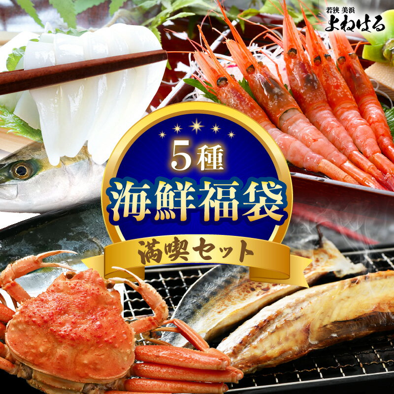 【ふるさと納税】海鮮福袋 満喫セット 5種（カニ エビ イカ サバ ハマチ）【産地直送 甘えび 甘海老 アマエビ セイコガニ かに 蟹 サバ 鯖 イカ 烏賊 海の幸 海鮮 魚介 酒の肴 つまみ 絶品 冷凍 福井】