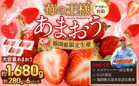 【予約受付】選べる大容量あまおう 1,680g 大粒 不揃い 選べる大容量あまおう （2L,グランデ,DX デラックス）減農薬 あまおう いちご 高級 いちごあまおう イチゴ 苺 フルーツ 果物 ふるさと納税くだもの amaou 福岡県 【2027年1月上旬～下旬発送予定】