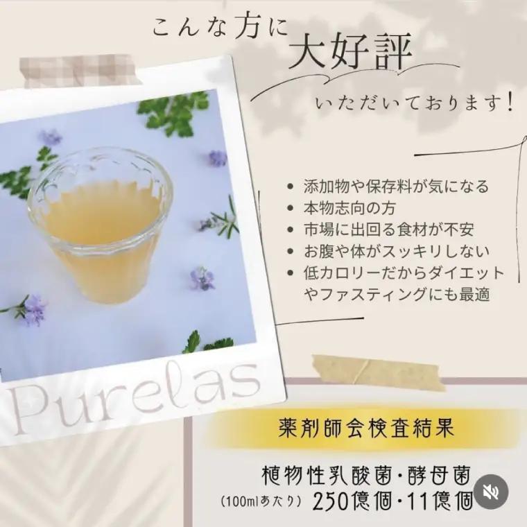 自然の恵みを封じこめた完全非加熱発酵エキス『ピュアラス酵素』1000ml/2本【非加熱酵素ドリンク 健康 乳酸菌 酵素ドリンク 発酵食品 水戸市 水戸 茨城県】（EH-7）