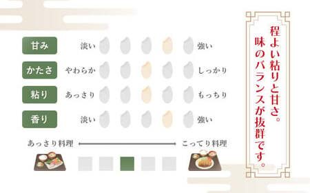 白米 多賀城産ひとめぼれ 精米10kg(5kg×2袋)5年産 【04209-0199】 白米 ひとめぼれ 5年産 白米 宮城米 精米