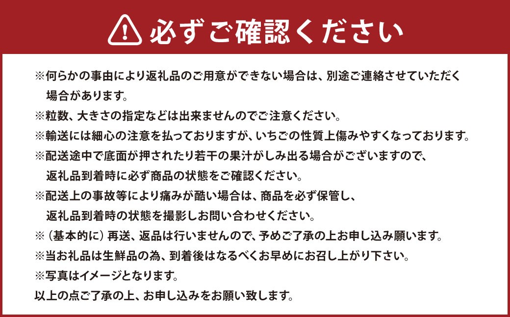 春のあまおう（2L・2A・G規格以上 6パック）【数量限定】