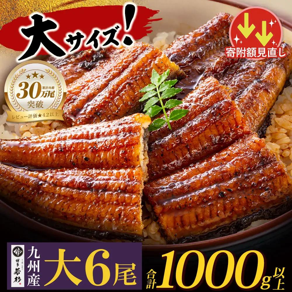 Z61-73 寄附額改定↓↓ 国産 うなぎ 蒲焼大サイズ6尾（計1000g以上）うなぎ
