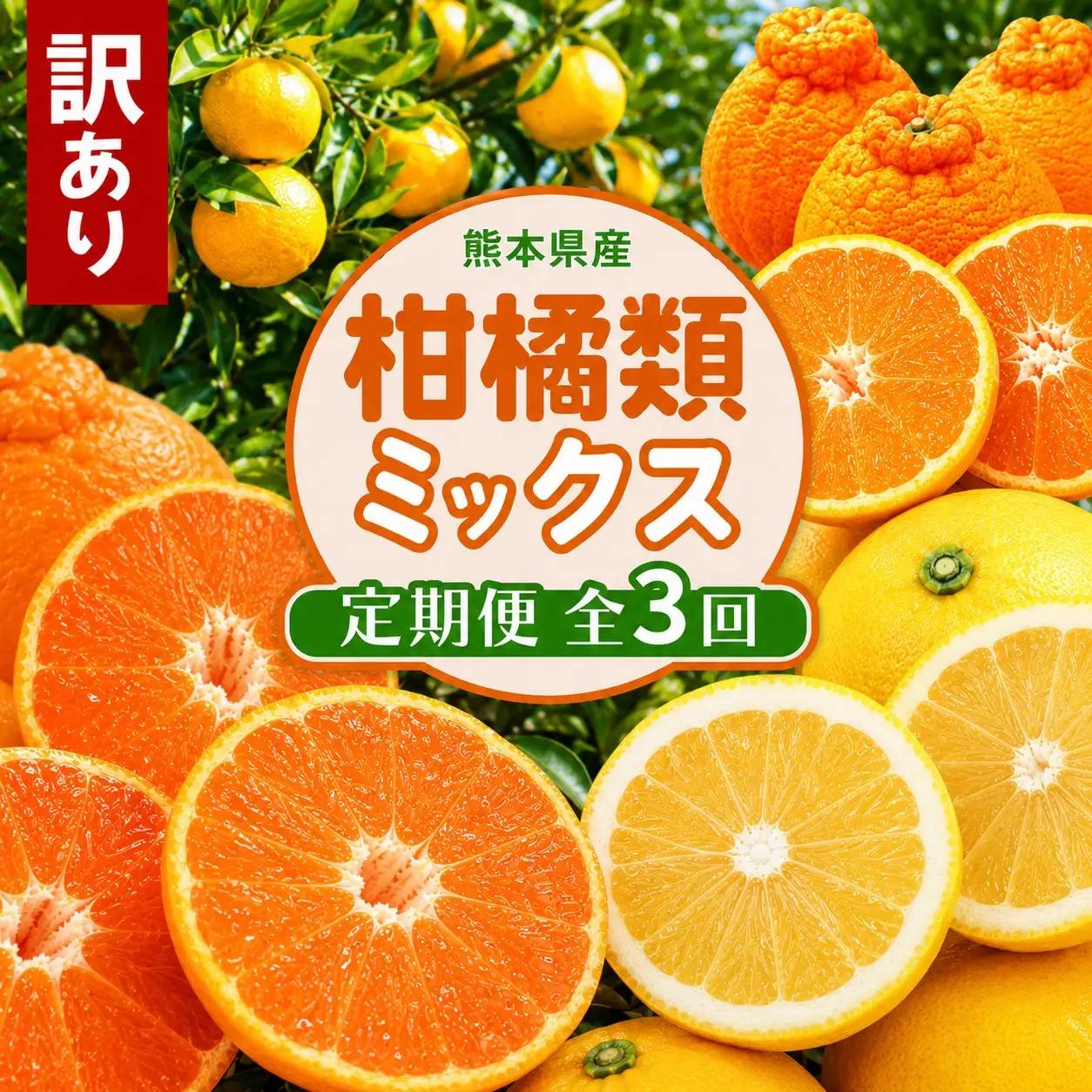 【3回定期便】柑橘類定期便（みかん・不知火・河内晩柑） 後藤農園