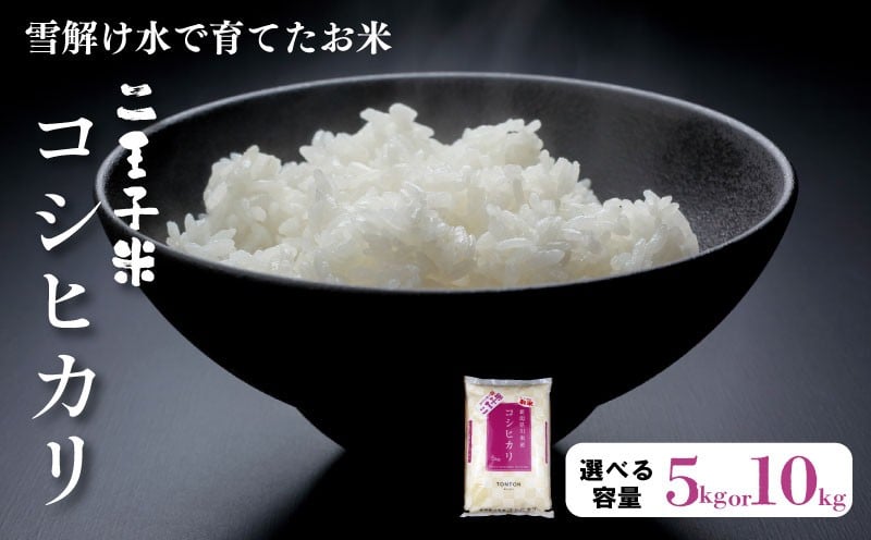 
            【選べる容量】令和7年産 新米 新潟県産 コシヒカリ 5kg 10kg 数量限定 特別栽培米 米 お米 精米 こしひかり 二王子米 精米 白米 ご飯 おにぎり 弁当 せいだ とんとん市場 ブランド米 人気米 玄米 新潟県 新発田市 seida002P
          