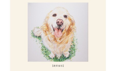 油絵で大切なペットを細密に描きます（41×32cm・背景あり）