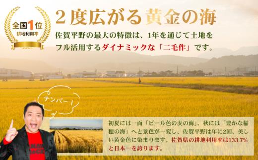 【先行予約】【新米】令和8年 佐賀県産「さがびより」5kg _1月発送：A095-061-03