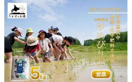 【 令和7年産 】 栽培期間中農薬不使用 ゆめぴりか （ 玄米 ） 5kg 北海道 鷹栖町 たかすのお米 コメ こめ ご飯