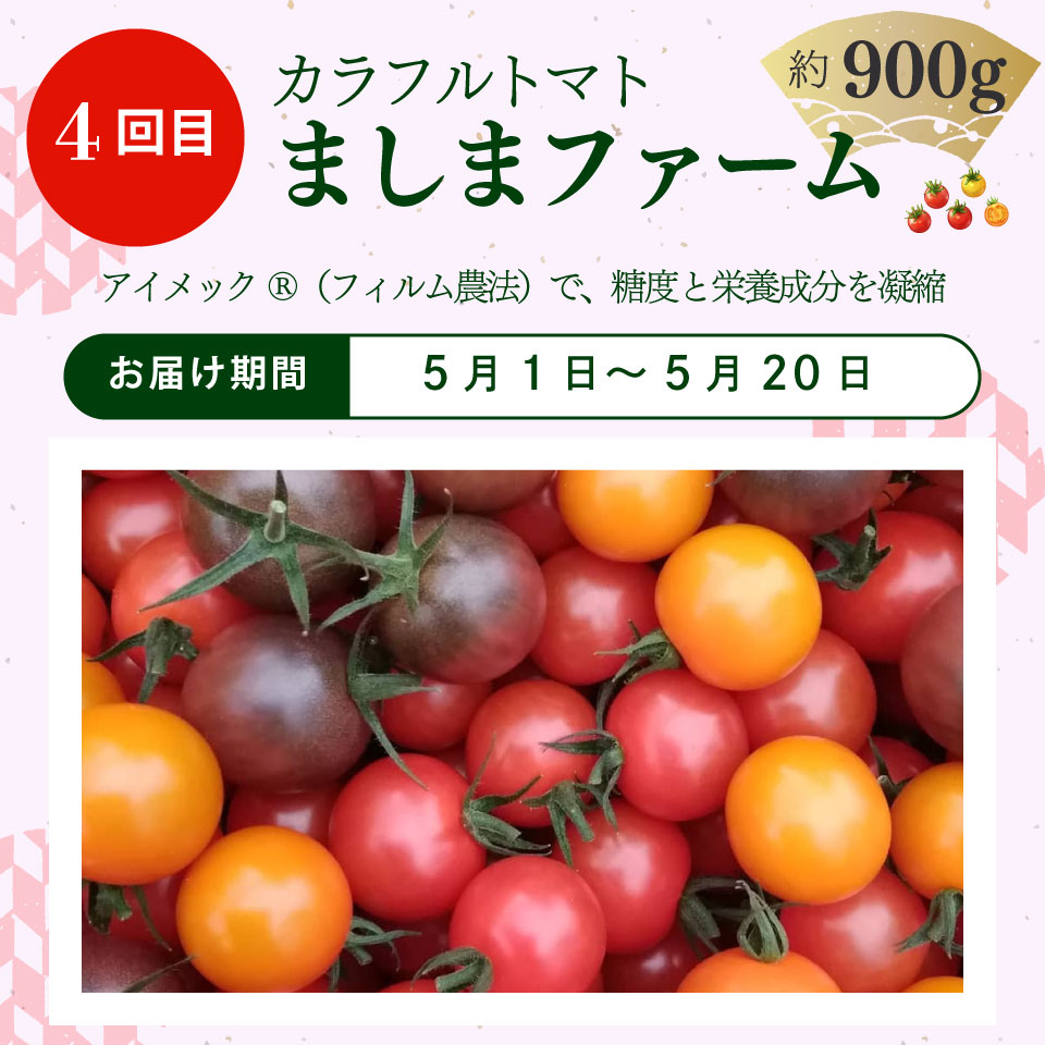 【フルーツトマト 計４回 定期】 ４農家からリレーでお届け　＜2027年発送＞