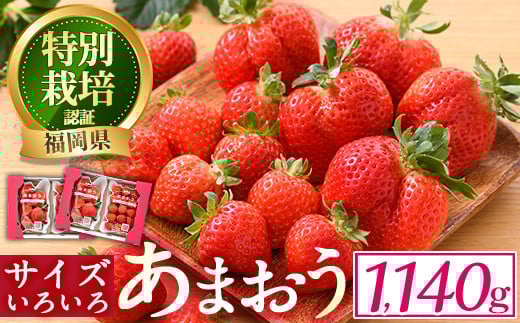 ＜予約受付中！2025年12月中旬より順次発送予定＞＜不揃い＞あまおう(計1.14kg・285g×4P) 苺 いちご イチゴ フルーツ 果物 ヨーグルト ジャム スムージー 冷蔵 特別栽培 福岡県 国産＜離島配送不可＞【ksg1222】【うるう農園】