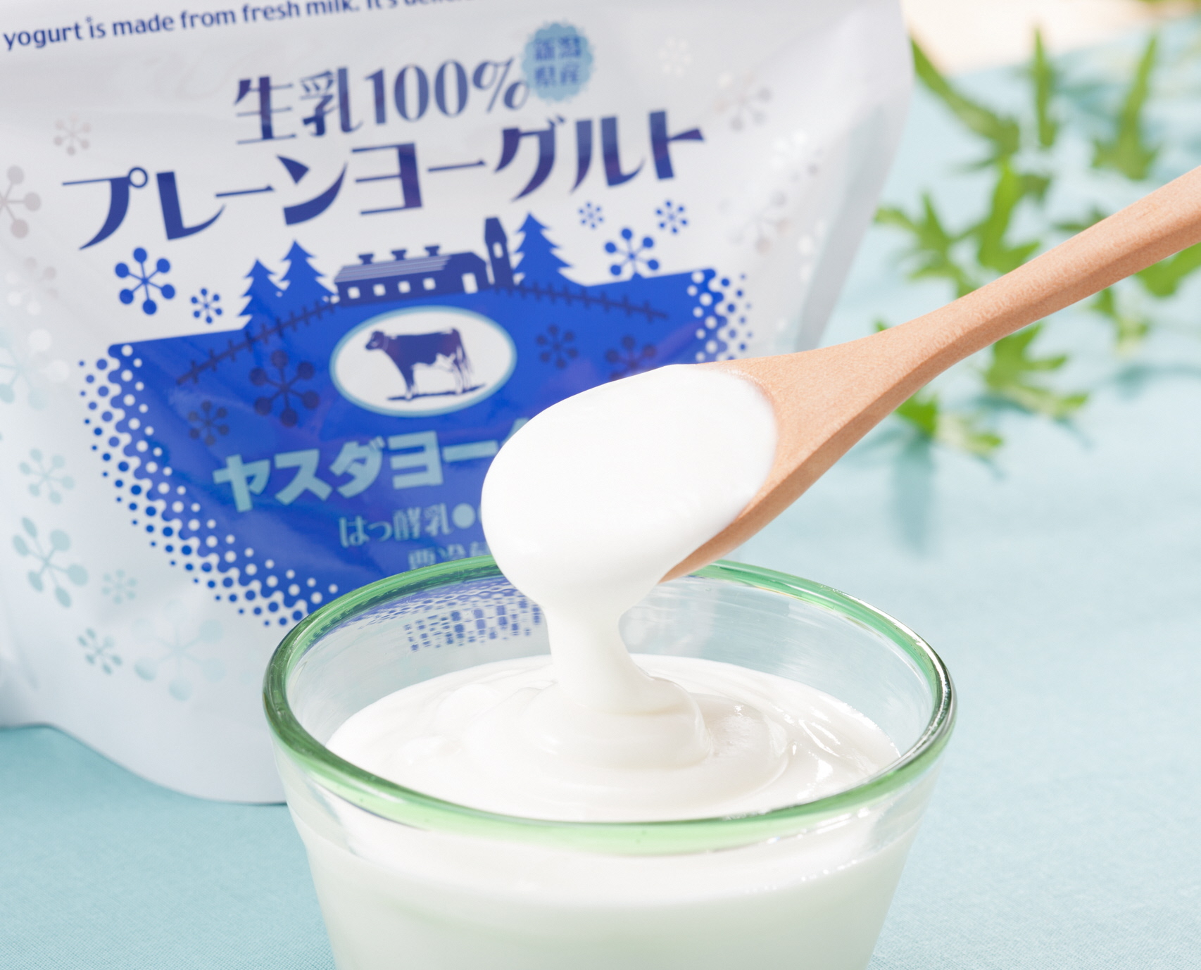 【10ヶ月定期便】ヤスダヨーグルト 食べるヨーグルト アレンジ名人セットA プレーンヨーグルト 600g×4個 パウチ 無添加 搾りたて こだわり生乳100％ 濃厚 1B81061