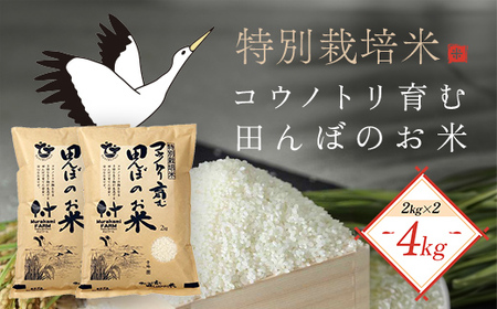 【先行予約 令和8年産】特別栽培米 コウノトリ育む田んぼのお米 4kg（2kg×2袋）〈村上ファーム〉お米 おこめ 米 こめ コメ ご飯 ごはん 白米 4キロ 4kg 兵庫県 朝来市 AS1BB6
