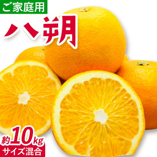 【ふるさと納税】みかん 八朔 ご家庭用 10kg サイズ混合 GOGO農園《10月下旬-12月下旬頃出荷》 和歌山県 日高川町 はっさく みかん 柑橘 蜜柑 フルーツ 送料無料