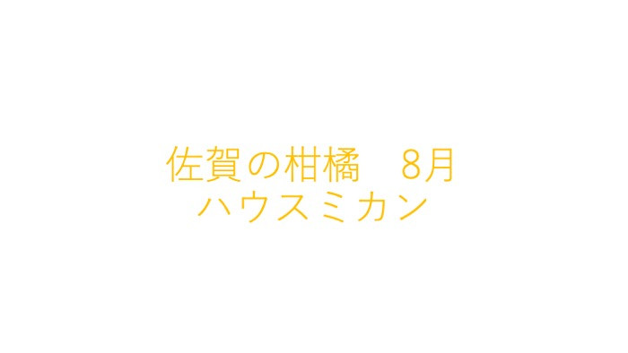 
            佐賀の柑橘　8月　ハウスミカン
          