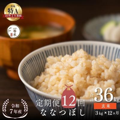 ふるさと納税 余市町 【定期便全12回】◇令和7年産◇余市産 ななつぼし(玄米) 3kg×12回_Y067-0326