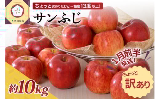 【先行受付】【2026年1月前半発送】 【訳あり】 りんご 約10kg サンふじ 青森産