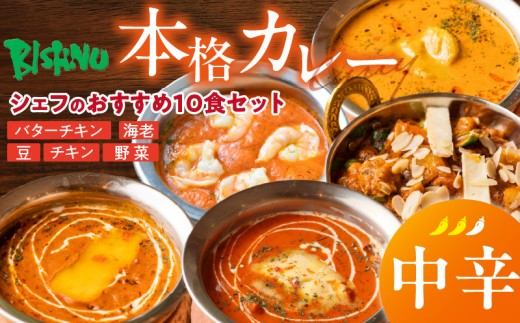 【中辛】ビスヌ 本格カレー　シェフのおすすめ10食_ビスヌ 本格 カレー シェフ おすすめ 10食 バターチキン 豆 海老 チキン 野菜 各 2個 中辛 インドカレー スパイス こだわり インド 直輸