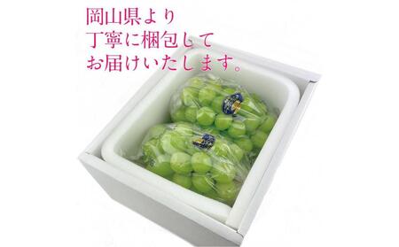 [HS]ぶどう 2025年 先行予約 9月・10月発送 シャイン マスカット 晴王 2房（合計約1.3kg） ブドウ 葡萄  岡山県産 国産 フルーツ 果物 ギフト