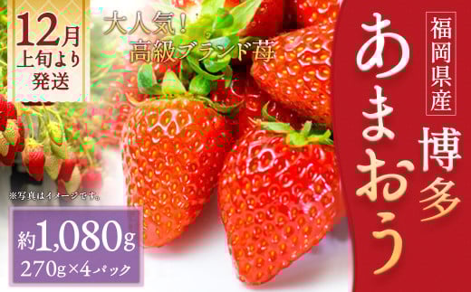 いちご「 あまおう 」 約270g×4パック 計約1,080g 【2025年12月上旬～2026年1月下旬発送予定】