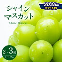 【ふるさと納税】 2025年 先行予約 爽やかな甘さ シャインマスカット 2房 ～ 3房 （ 1kg ～ 1.2kg ）クラウン農園 | 果物 くだもの フルーツ ぶどう 葡萄 マスカット シャインマスカット しゃいんますかっと 長野県 信州 千曲市 先行予約