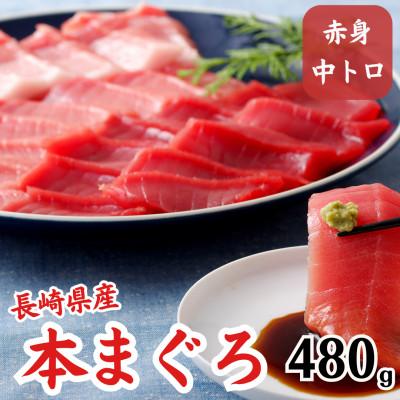 ふるさと納税 佐世保市 長崎県産本まぐろ(中トロ・赤身)約480g