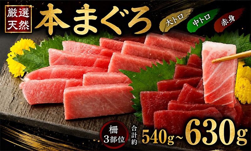 
                  【厳選天然本まぐろ】大トロ・中トロ・赤身 540g以上 天然まぐろ 3種セット 食べ比べ 大トロ 中トロ 赤身 まぐろ 鮪 本鮪 クロマグロ マグロ刺し身マグロ刺身 海鮮 魚介 人気 おすすめ 訳あり 規格外 マグロ中トロ マグロ大トロ マグロ赤身 刺身 お刺身用 サク 柵 スライス 切り落とし 冷凍 瞬間冷凍 小分け 便利 高知県 室戸市
                