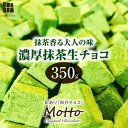 【ふるさと納税】訳あり 抹茶生チョコレート 約350g | 訳あり 抹茶 生チョコ スイーツ 洋菓子 菓子 カカオ スイートチョコ 大容量 簡易包装 業務用 ご家庭 お子様 おやつ 贈答 ギフト お取り寄せ わけあり ワケアリ 自社 製菓 山口県 宇部市