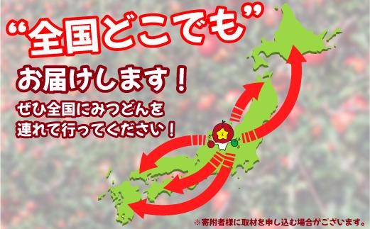 飯綱町PRキャラクター みつどん 旬のりんご 家庭用 5kg 全国