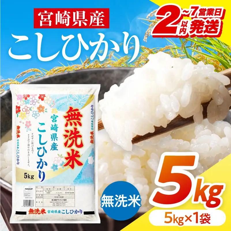 米 こしひかり 無洗米 合計5kg 米[令和8年産 宮崎県産 5kg×1袋 2～7営業日以内に発送予定]