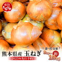 【ふるさと納税】【先行予約】選べる 内容量 熊本県産 玉ねぎ 3kg/5kg/10kg ≪2025年4月下旬から順次発送≫ 選べる 内容量 玉葱 野菜 やさい 旬 たまねぎ オニオン 甘い ハンバーグ 肉じゃが 新鮮 産地直送 送料無料 065-0635