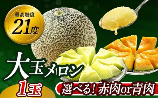 【先行予約】 メロン 2026 発送5月下旬～ 最高糖度21度！奇跡のキスグリーンメロン 10000円 以下 1玉 青肉 めろん おすすめ 人気 国産 青 産地直送 茨城 鉾田 フルーツ 旬 大きい プレゼント 贈り物 贈答 旬 定番 果物 くだもの 大玉 甘い 青肉