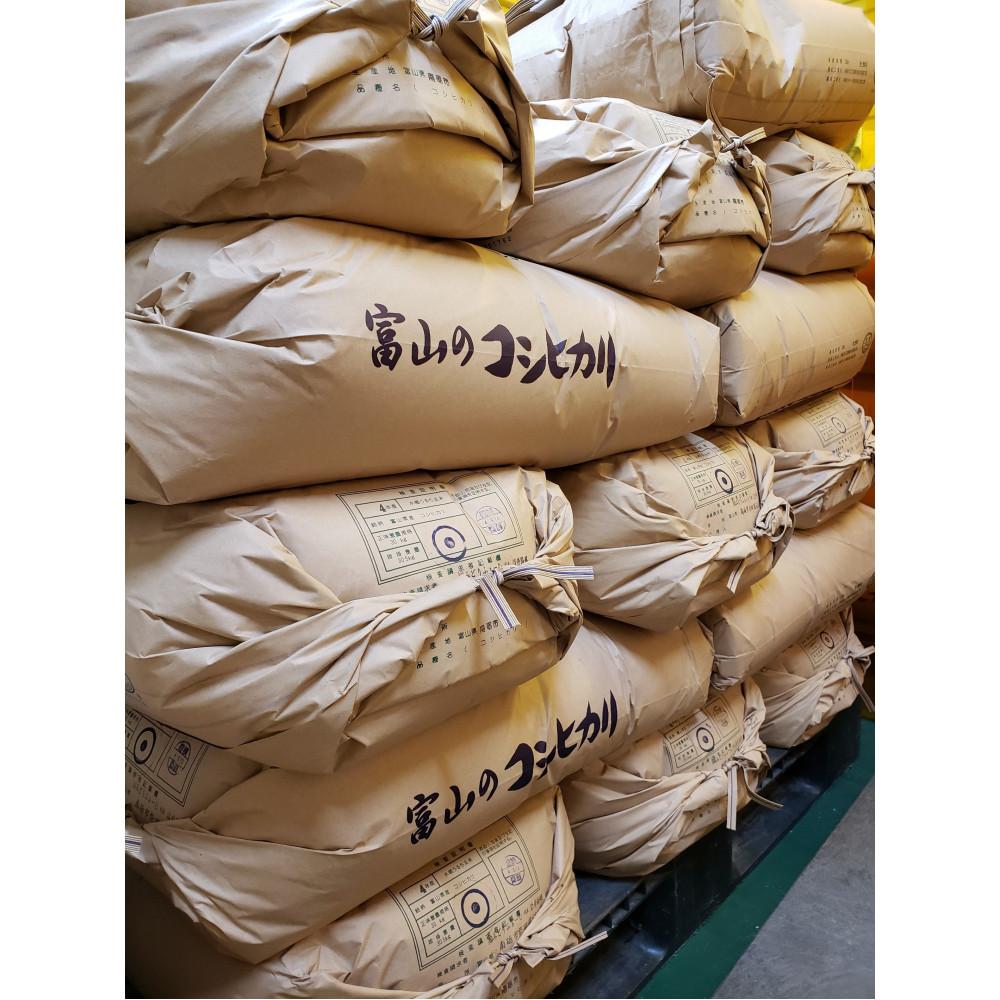 【ふるさと納税】【令和7年産】みどりふぁーむのコシヒカリ 玄米 30kg | お米 こめ 玄米 食品 産地直送 米 コシヒカリ みどりふぁーむ 南砺市