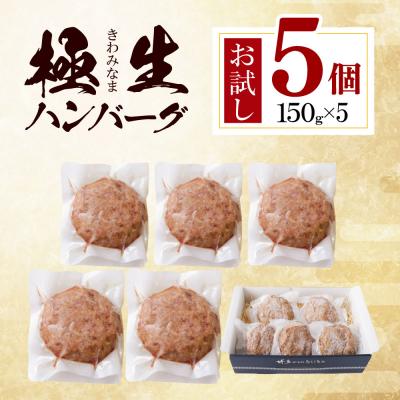 ふるさと納税 福智町 極生ハンバーグ 5個セット(150g×5) |  | 01