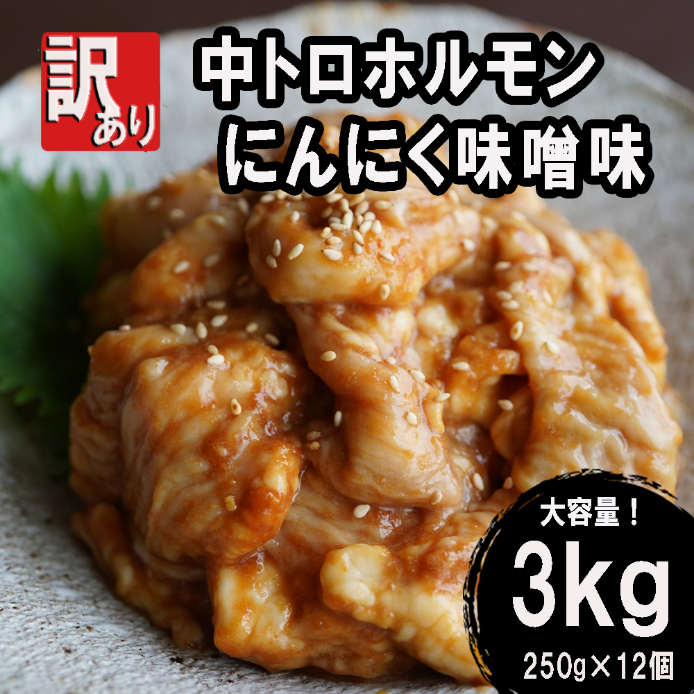 【 訳あり 】 中トロ ホルモン 3kg(250g×12) にんにく 味噌味 トロ 焼肉 牛 西京焼き 味噌 味付 小分け 冷凍 牛 肉 熨斗 贈答 ギフト 希少部位 肉 お歳暮 御歳暮 御中元 お中元 便利 簡単調理 厳選 キャンプ アウトドア 内祝 ほるもん おかず 味付けホルモン 肉 西京焼き 京都 舞鶴 幸福亭