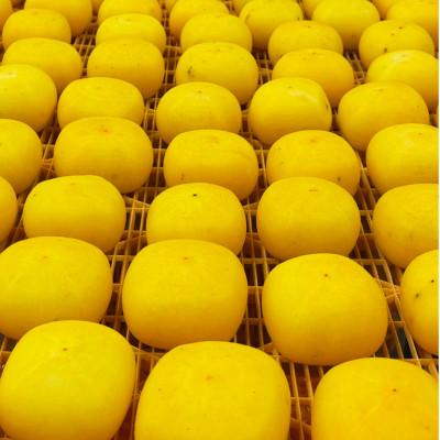 ふるさと納税 五條市 奈良県五條市　堀うち農園のあんぽ柿　【訳あり品】　3個入×6P |  | 02