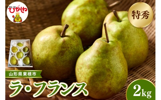【2026年産 先行受付】東根市産ラ・フランス 約2kg(玉数おまかせ) 特秀品 ベジフルひがしね 山形県 東根市 hi104-013