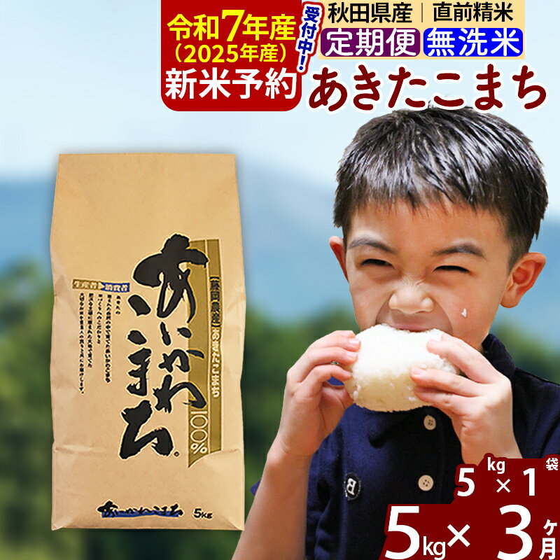 【ふるさと納税】※令和7年産 新米予約※《定期便3ヶ月》秋田県産 あきたこまち 5kg【無洗米】(5kg小分け袋) 2025年産 お届け周期調整可能 隔月に調整OK お米 藤岡農産