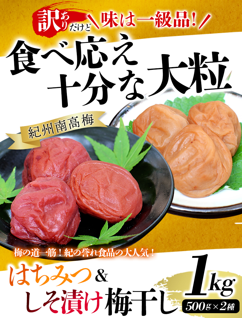 紀州南高梅 大粒 食べ比べセット 1㎏ (はちみつ500g・しそ漬500g) 塩分約8% 無選別 ご家庭用 訳あり 梅干 梅干し うめ ウメ ハチミツ シソ 小分け 梅 梅 梅 梅 梅  すさみ町 【khs122】