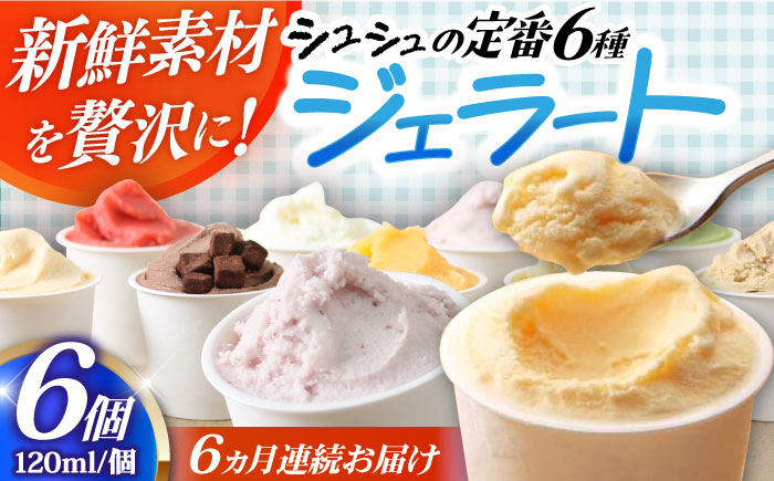 
            【6回定期便】シュシュ 定番ジェラート6個セット / アイス アイスクリーム ジェラート スイーツ /  大村市 / おおむら夢ファームシュシュ [ACAA407]
          