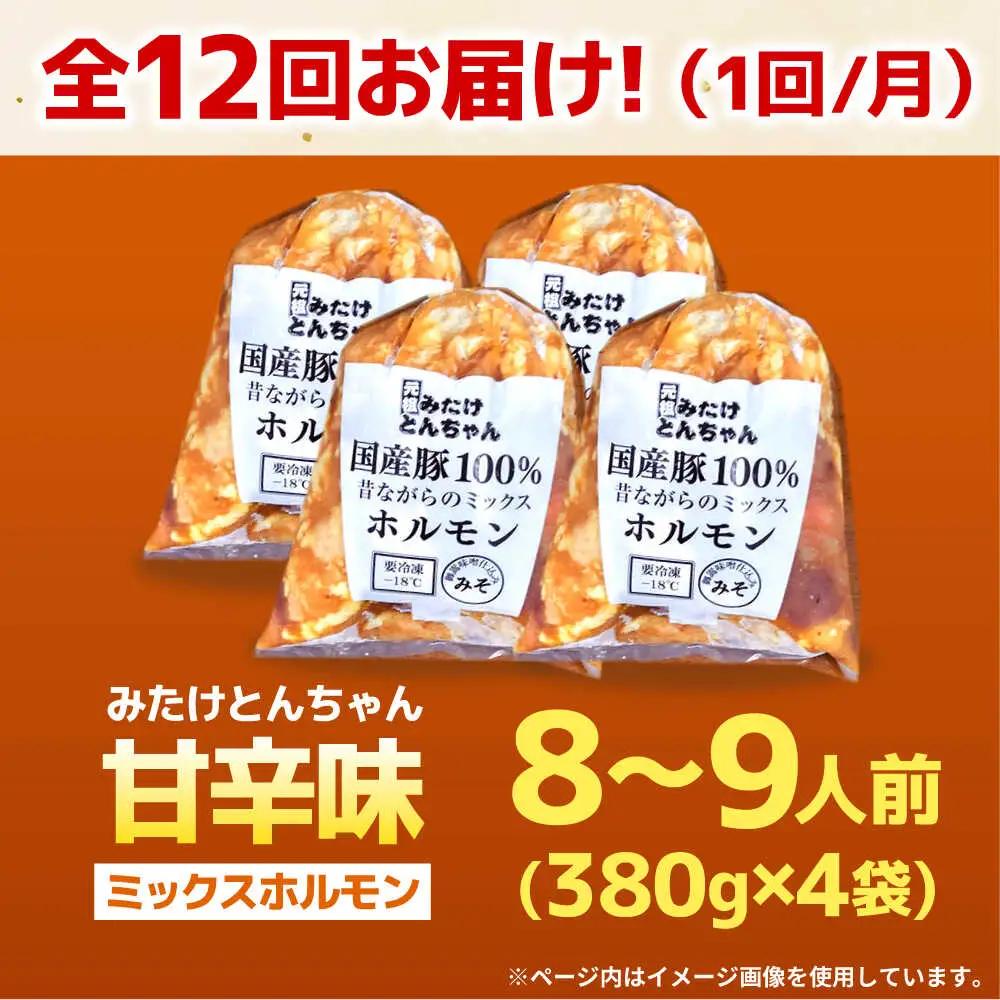 【12回定期便】 「元祖みたけとんちゃん」 昔ながらのミックスホルモン 4袋（8人前） / モツ もつ レバー ホルモン / 御嵩町 / 藤よし[AVAA090]