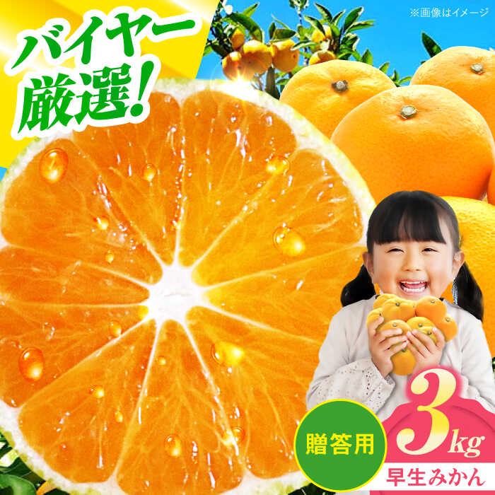 【ふるさと納税】【贈答用】 早生みかん 3kg 大洲市/有限会社西山青果 [AGAR007] 先行予約 みかん ミカン 蜜柑 温州ミカン 温州みかん 果物 くだもの フルーツ 愛媛県産 大洲市産 産地直送 おすすめ 人気 お取り寄せ 送料無料 贈答 ギフト