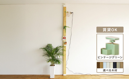 インテリア LABRICO 柱 セット アジャスター ヴィンテージグリーン 平安伸銅工業 ツーバイ材 ツーバイフォー 家具 DIY 突っ張り 突っ張り柱 固定 賃貸 ウッド 木 木材 おしゃれ オシャレ 平安伸銅 ラブリコ 兵庫 兵庫県 姫路 姫路市 無塗装