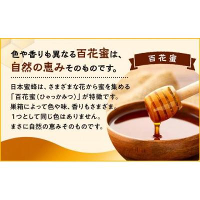 ふるさと納税 栃木市 日本蜜蜂のハチミツ100%!はちみつ(逆さ容器300g1本) |  | 02