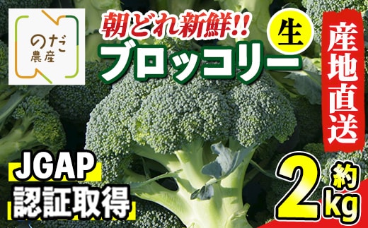 
										
										i994 ≪先行予約受付中！2024年12月上旬～3月下旬の間に発送予定≫ ブロッコリー 約2kg (M～L玉) 鹿児島 出水 国産 生 野菜 ブロッコリー 朝どれ 新鮮 産地直送 JGAP認証 安心安全 【のだ農産】
									