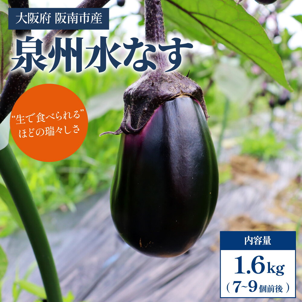 【ふるさと納税】【産地直送】みずみずしい旬の味！朝採れ 泉州水なす 7～9本｜ 茄子 水茄子 なす ナス ナスビ なすび 水なす 野菜 漬物 漬け物 ぬか漬け 夏野菜 保存料 香料 不使用 化学調味料 不使用 朝採り お中元 ギフト 贈答 大阪府 阪南市 送料無料 みのうらファーム